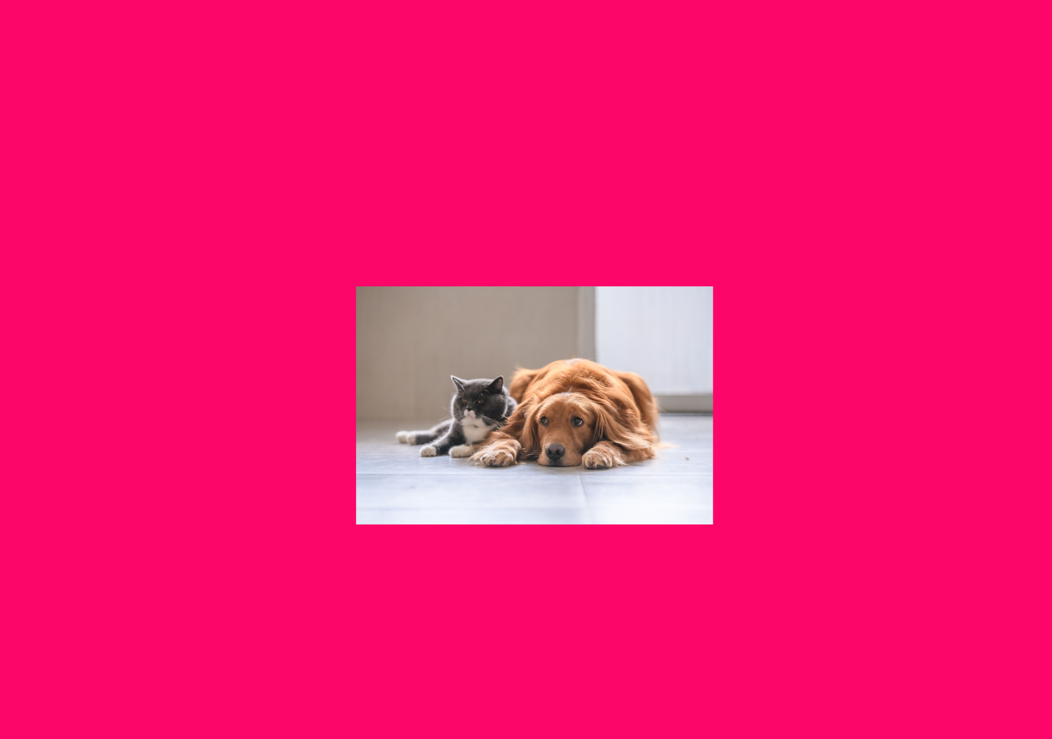 Copy Of Turns 40 17 2050X1440